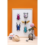 assembli-insects-small-frame