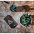 coque bois triangle