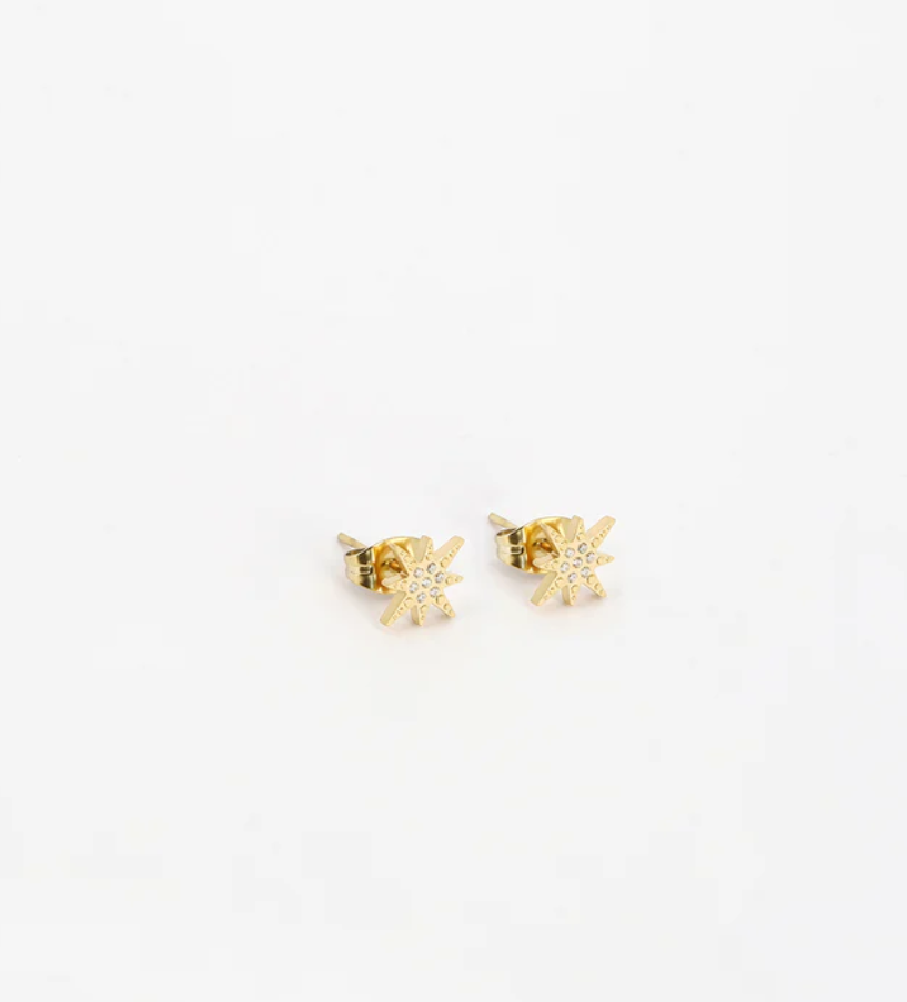 Boucles d\'oreilles puces Isaac - Acier doré
