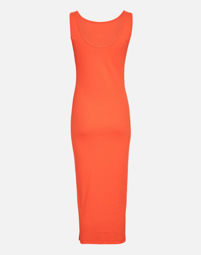 didina orange 2