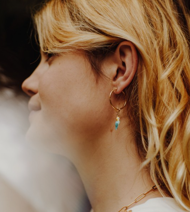 charm_perroquet_bleu_3