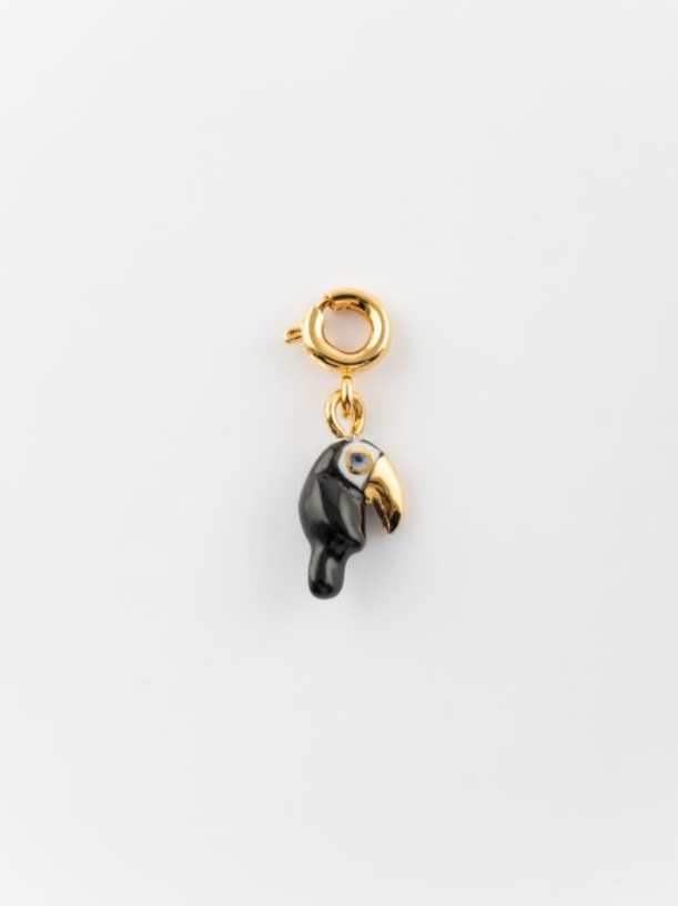 Charm\'s toucan bec doré