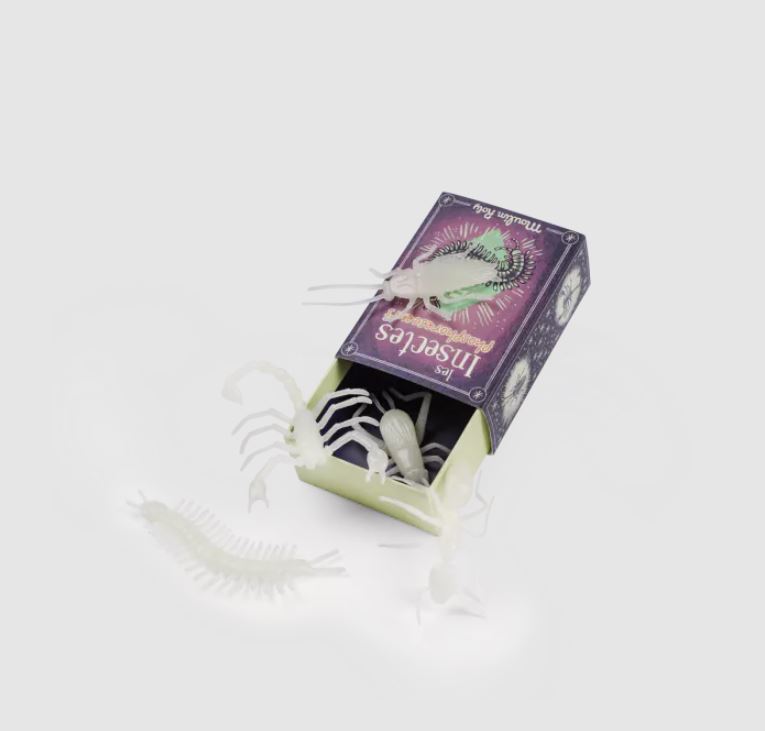 insecte 1