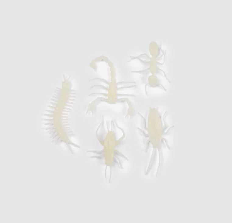 insecte 3
