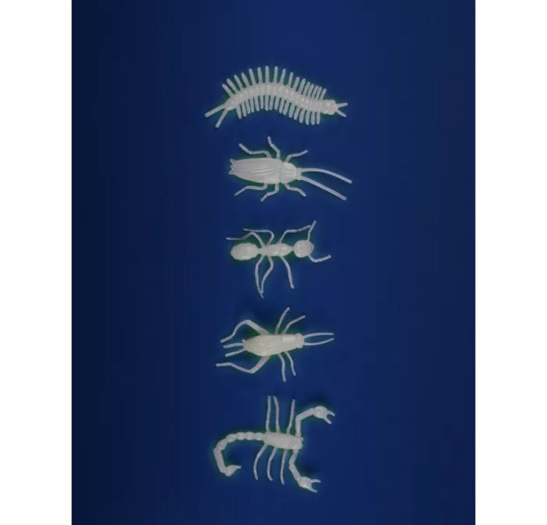 insecte 2