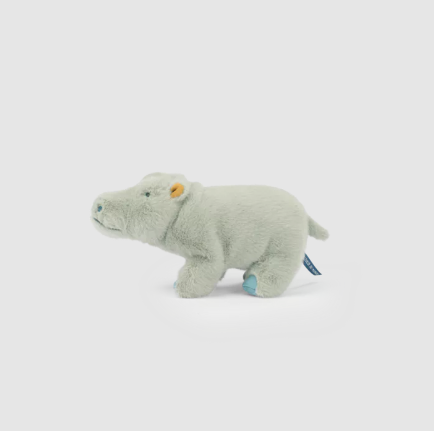 P HIPPO 2