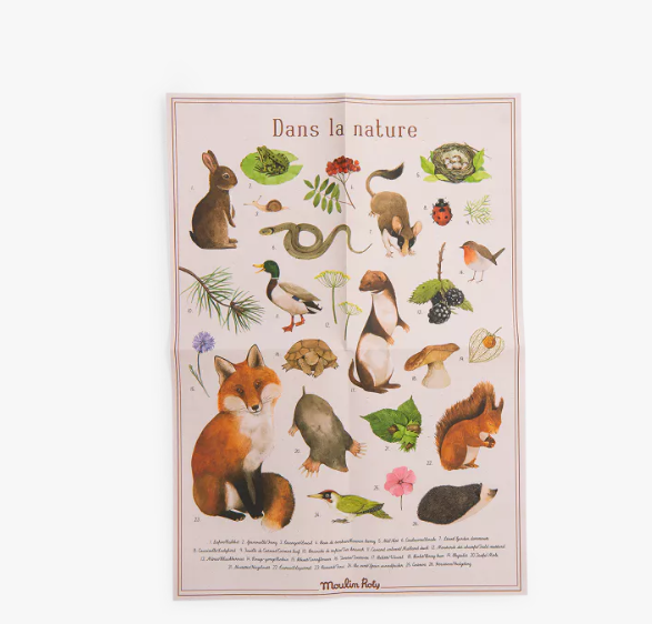 COFFRET DECOUVERTE 6