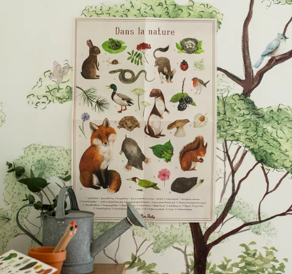 COFFRET DECOUVERTE 13