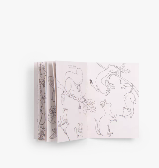 COFFRET DECOUVERTE 9