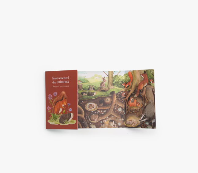 COFFRET DECOUVERTE 10