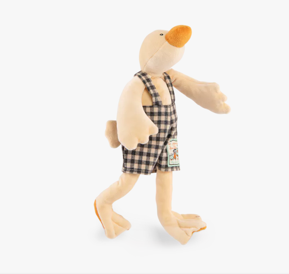 CANARD GRAND 2