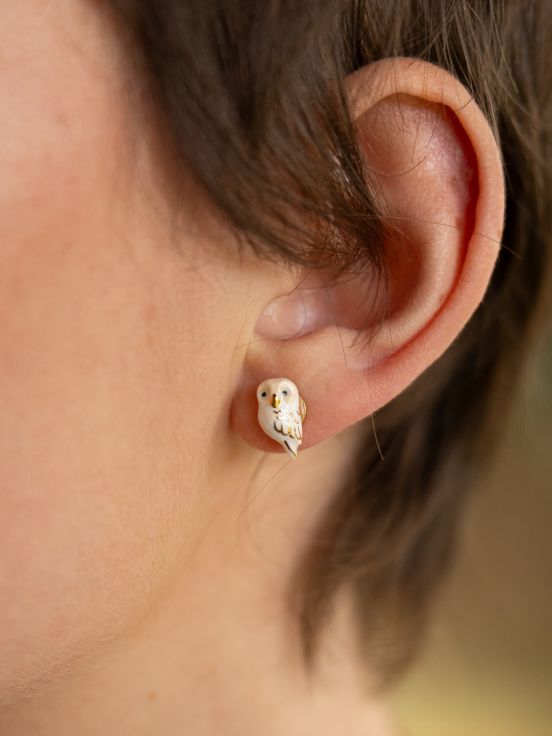 puces-d-oreilles-chouette-blanche-2