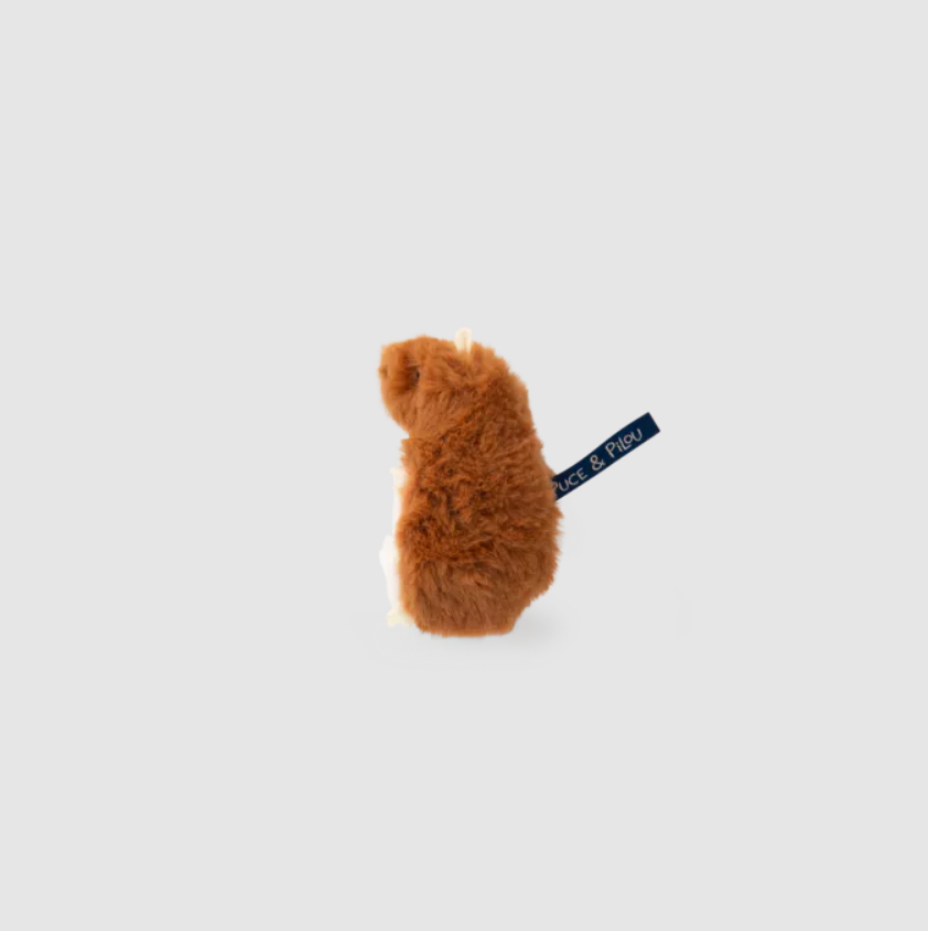hamster_dent_lait_4