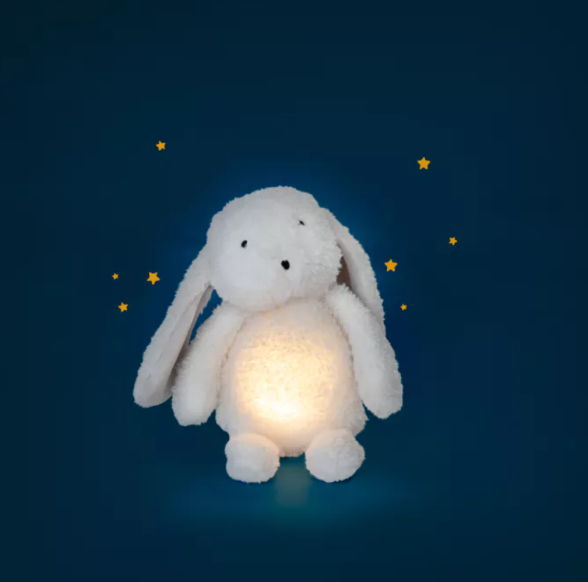 lapin_lumineux_4