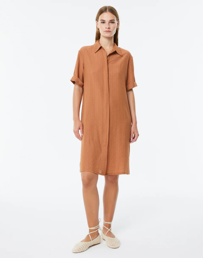 Robe Avellana - Marron