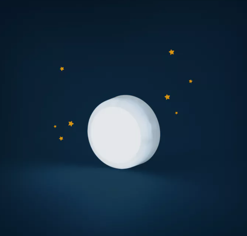 otarie_lumineuse_3