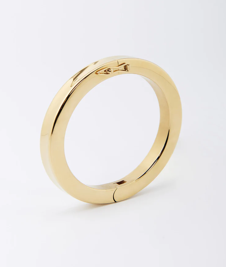 Bracelet Jonc Darwin - Acier doré