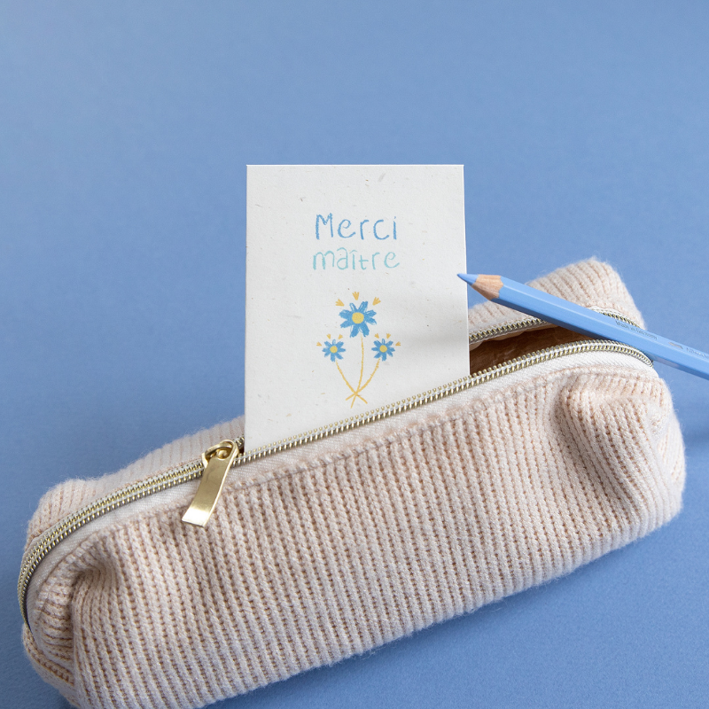 Sachet-de-graines-Merci-Maître-1