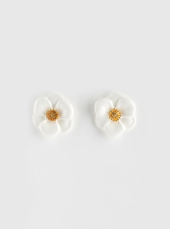 puces-oreilles-fleur-blanche-nach