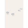 PUCES FLEUR A 1