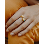 bague_facetoface_perruche_2