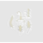 insecte 3