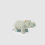 P HIPPO 1
