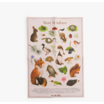COFFRET DECOUVERTE 6