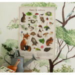 COFFRET DECOUVERTE 13