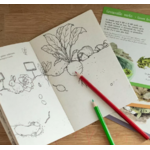 COFFRET DECOUVERTE 14