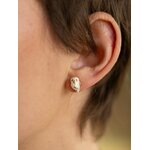 puces-d-oreilles-chouette-blanche-2