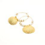 creoles_coquillage_eve_1