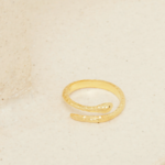BAGUE_ISANA_1