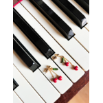 Bo_cerises_pendantes_3
