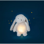 lapin_lumineux_4