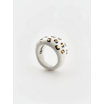 ba_leopard_1