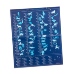 carte_decalco_ciel_8