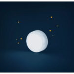 otarie_lumineuse_3