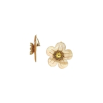BO clips goldie franck herval1