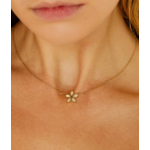 collier-demo-dore-zag-2
