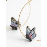 moyennes-creoles-papillon-nuit-nach-4
