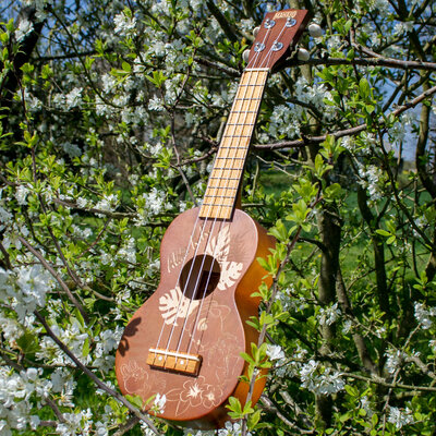 ukulele-01