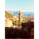 village-provencal-lumio-fleur-d-oranger-lavande-ambiance-provencale-parfum-d-ambiance