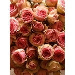 bouquet-rose-ambiance-fleurie-lavande-fleur-d-oranger-extrait-parfum-d-ambiance-grasse