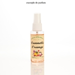 achat vaporisateur cannelle orange pour parfumer la maison odeur maison fraîche