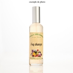 acheter vaporisateur parfum ambiance nag champa pour ambiance zen ambiance chaleureuse