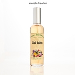 meilleure vente vaporisateur parfum ambiance anti tabac parfum pour la maison et diffuseur de parfum maison fraîche - Copie