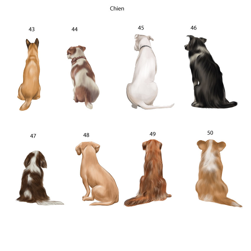 chiens-family