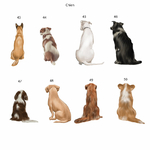 chiens-family