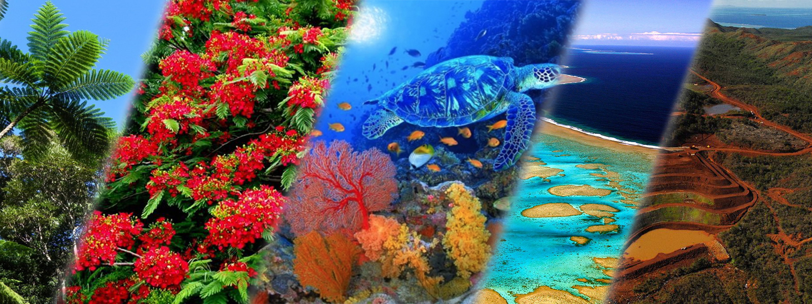 banniere 1600x600